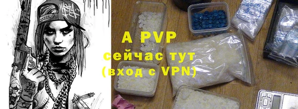 PSILOCYBIN Богородск