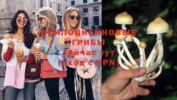 PSILOCYBIN Богородск