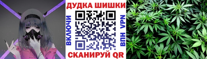 Бошки Шишки гибрид  цена   Вяземский 